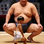 sumo